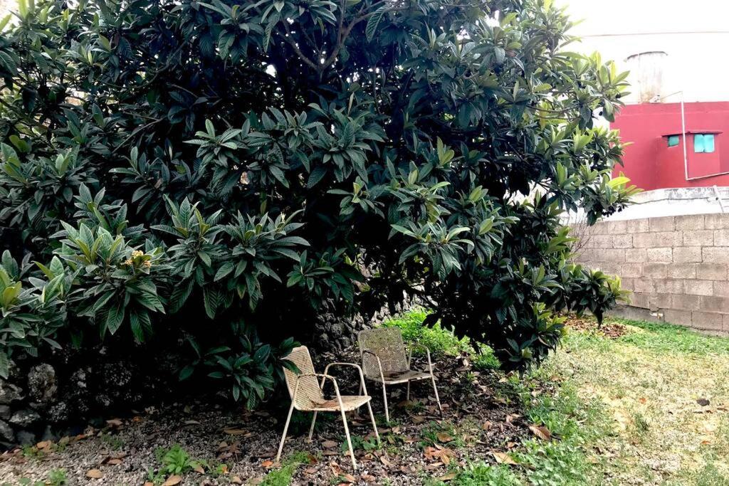 הוילה וילפלור Casa Tia Ines מראה חיצוני תמונה